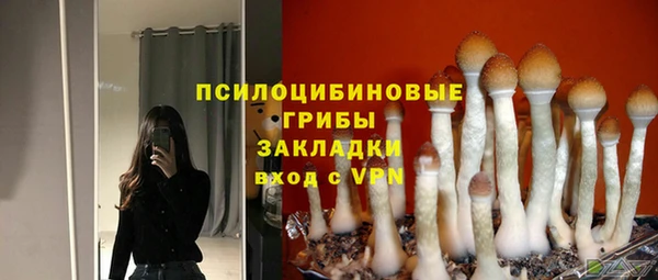 a pvp Алзамай