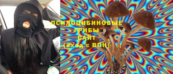 a pvp Алзамай
