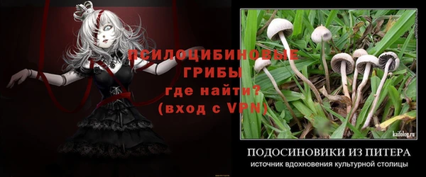 винт Алексеевка